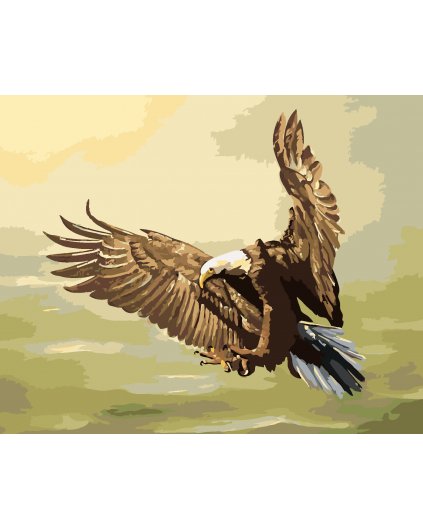 Malování podle čísel - LOVÍCÍ OREL (D. RUSTY RUST)