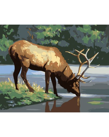 Malování podle čísel - LOS U VODY (D. RUSTY RUST)