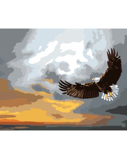 Malování podle čísel - OREL ZA BOUŘKY (D. RUSTY RUST)