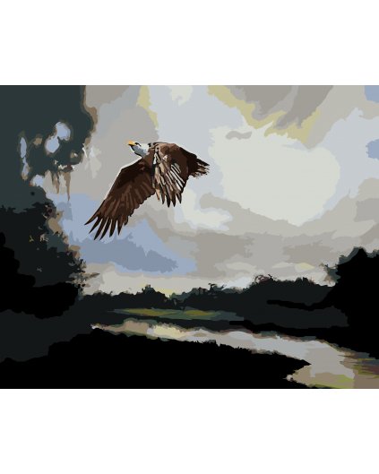 Malování podle čísel - OREL PŘI STMÍVÁNÍ (D. RUSTY RUST)