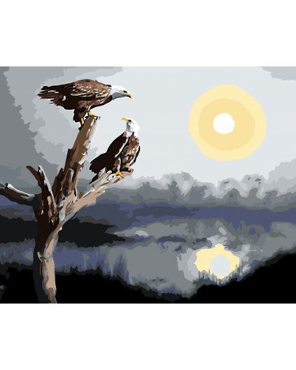 Malování podle čísel - DVA ORLI NA VĚTVI (D. RUSTY RUST)