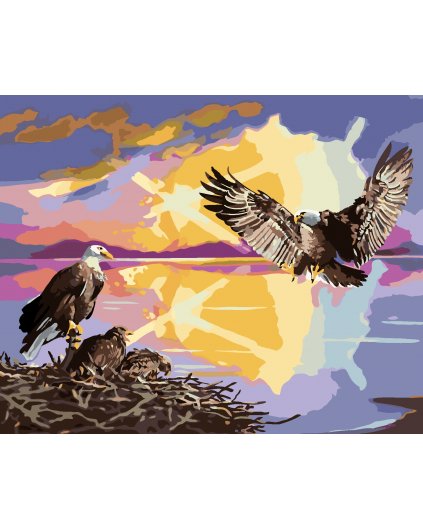 Malování podle čísel - OREL A MLÁĎATA (D. RUSTY RUST)
