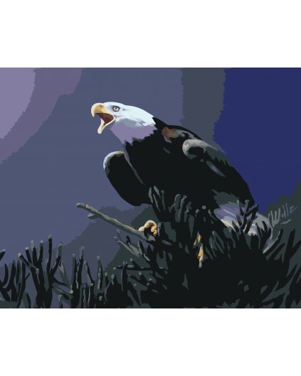 Malování podle čísel - OREL NA TMAVÉM POZADÍ (D. RUSTY RUST)
