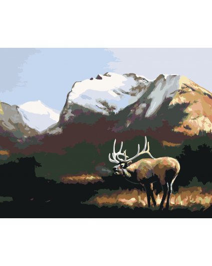 Malování podle čísel - LOS V HORÁCH (D. RUSTY RUST)