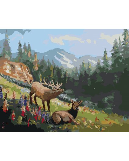 Malování podle čísel - LOS NA PALOUKU (D. RUSTY RUST)