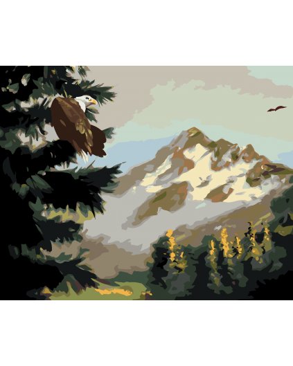 Malování podle čísel - OREL NA STROMĚ (D. RUSTY RUST)