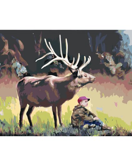 Malování podle čísel - CHLAPEC A LOS (D. RUSTY RUST)