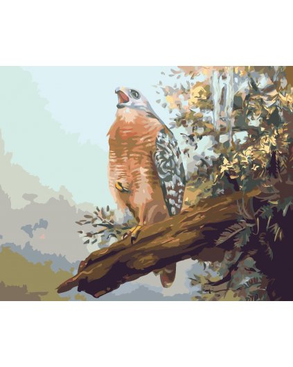 Malování podle čísel - DRAVEC NA VĚTVI (D. RUSTY RUST)