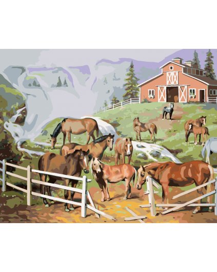 Malování podle čísel - KONĚ U ZNIČENÉ OHRADY (D. RUSTY RUST)
