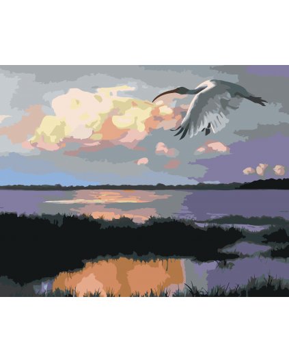 Malování podle čísel - LETÍCÍ IBIS (D. RUSTY RUST)