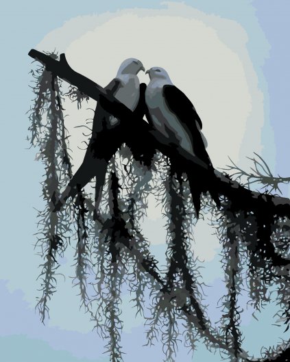 Malování podle čísel - PTÁCI NA VĚTVI (D. RUSTY RUST)