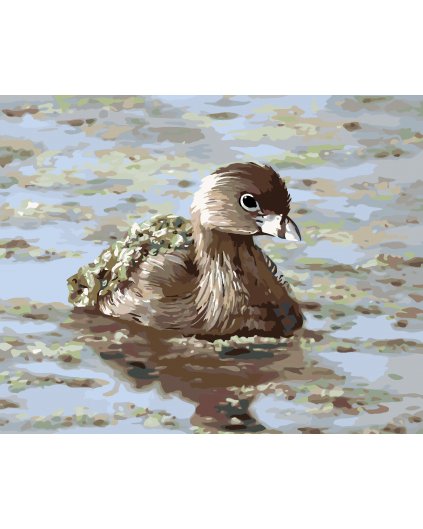 Malování podle čísel - POTÁPKA (D. RUSTY RUST)