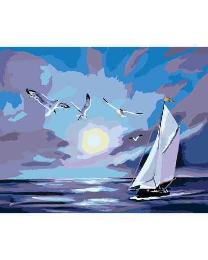 Malování podle čísel - RACEK NAD MOŘEM (D. RUSTY RUST)