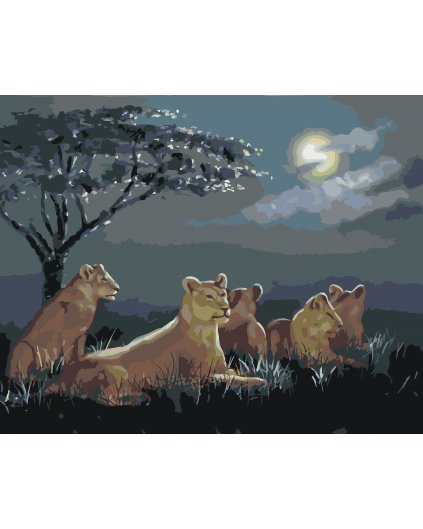 Malování podle čísel - LVICE PO SOUMRAKU (D. RUSTY RUST)