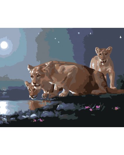 Malování podle čísel - LVICE U NAPAJEDLA (D. RUSTY RUST)