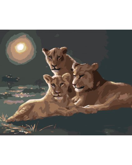 Malování podle čísel - LVICE A LVÍČE (D. RUSTY RUST)