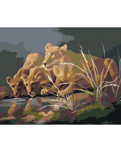 Malování podle čísel - LVICE U NAPAJEDLA ZA TMY (D. RUSTY RUST)