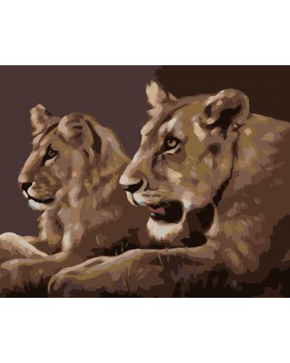 Malování podle čísel - MLADÍ LVI (D. RUSTY RUST)