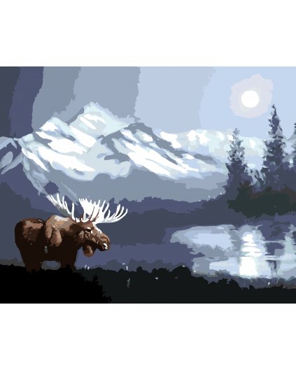 Malování podle čísel - LOS NA PLÁNI ZA SVITU MĚSÍCE (D. RUSTY RUST)