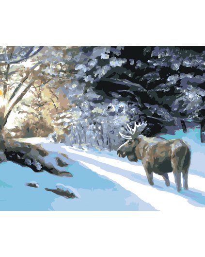 Malování podle čísel - LOS V ZASNĚŽENÉM LESE (D. RUSTY RUST)