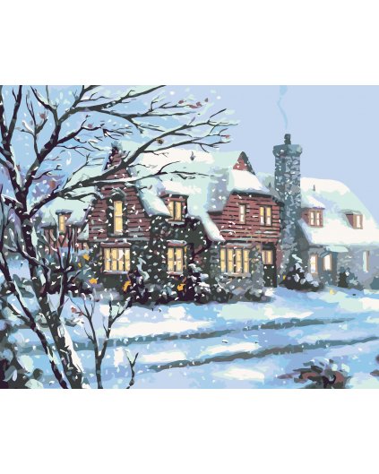 Malování podle čísel - ZASNĚŽENÝ DŮM (D. RUSTY RUST)