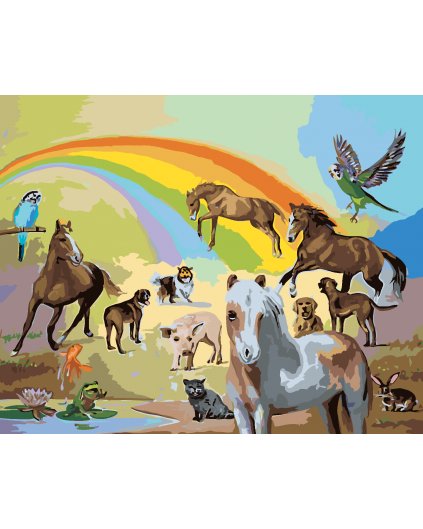 Malování podle čísel - DUHA A ZVÍŘATA (D. RUSTY RUST)