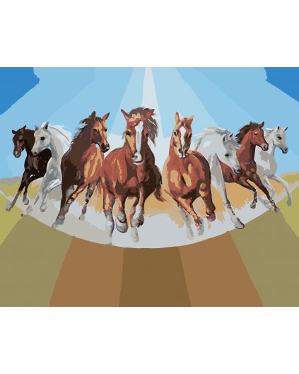 Malování podle čísel - KONĚ V BĚHU (D. RUSTY RUST)