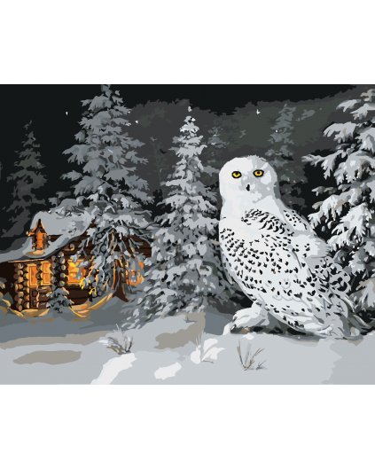 Malování podle čísel - SNĚŽNÁ SOVA V LESE A CHATA V ZIMĚ (D. RUSTY RUST)