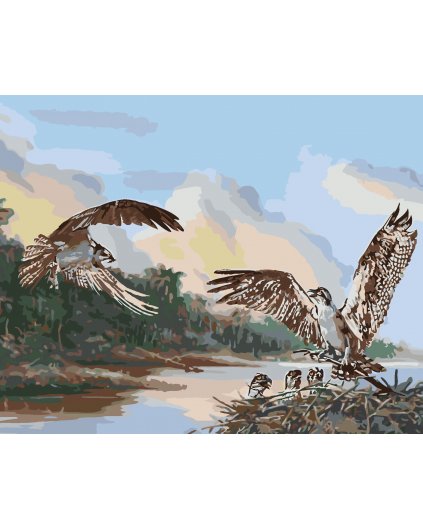 Malování podle čísel - OREL A HNÍZDO S MLÁĎATY (D. RUSTY RUST)