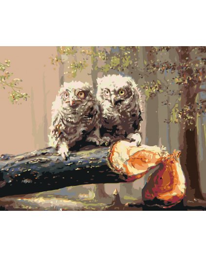 Malování podle čísel - MLÁĎATA SOVY NA POKÁCENÉM STROMĚ (D. RUSTY RUST)