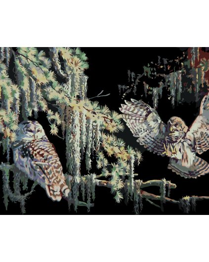 Malování podle čísel - SOVY V NOCI (D. RUSTY RUST)