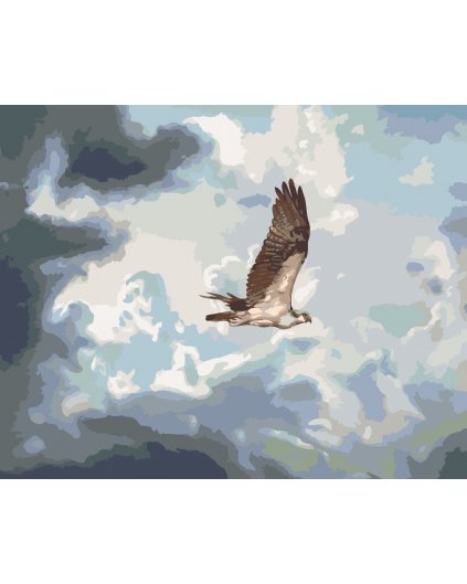 Malování podle čísel - OREL V MRACÍCH (D. RUSTY RUST)