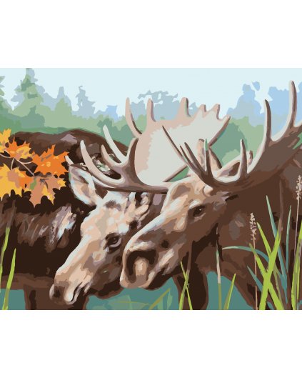 Malování podle čísel - LOSÍ PÁR (D. RUSTY RUST)