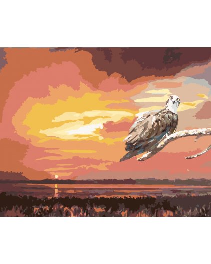Malování podle čísel - OREL NA VĚTVI A ZÁPAD SLUNCE (D. RUSTY RUST)