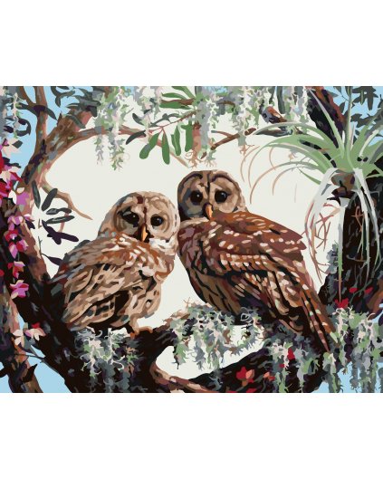 Malování podle čísel - SOVY A SRDCE Z VĚTVÍ (D. RUSTY RUST)