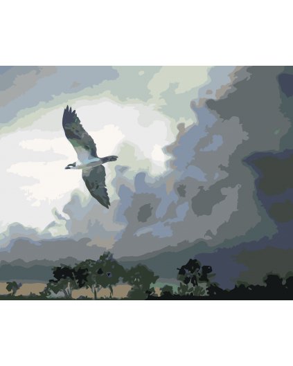 Malování podle čísel - OREL V LETU A BOUŘKOVÉ MRAKY (D. RUSTY RUST)