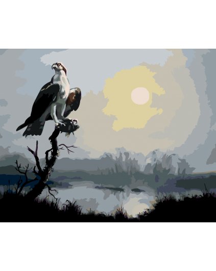 Malování podle čísel - OREL NA VĚTVI A SLUNCE (D. RUSTY RUST)