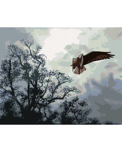 Malování podle čísel - OREL V LETU A STROMY (D. RUSTY RUST)