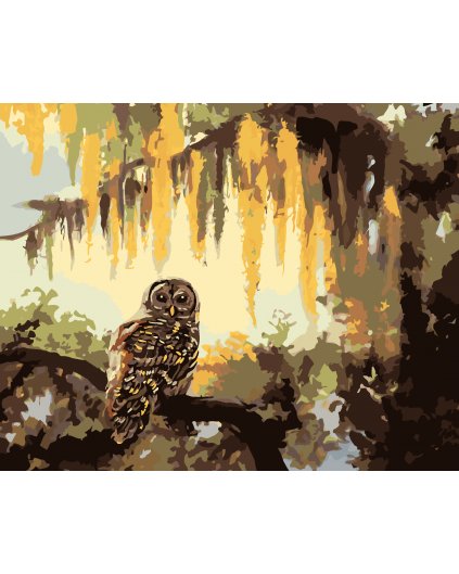 Malování podle čísel - SOVA A STROMY (D. RUSTY RUST)