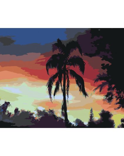 Malování podle čísel - PALMA A ZÁPAD SLUNCE (D. RUSTY RUST)