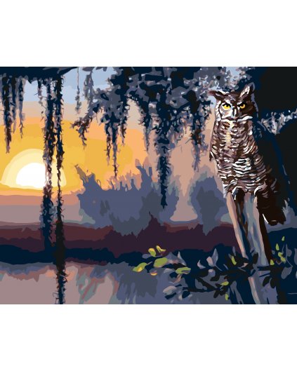 Malování podle čísel - SOVA A ZÁPAD SLUNCE (D. RUSTY RUST)