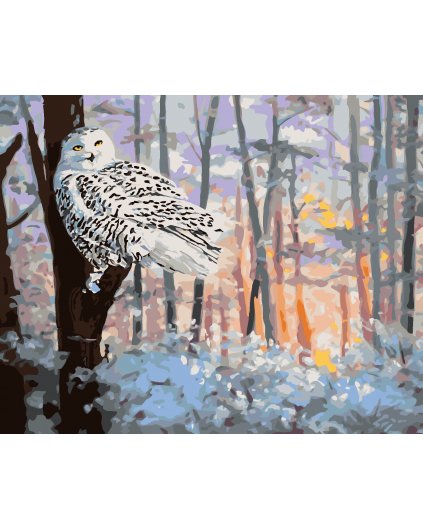 Malování podle čísel - SNĚŽNÁ SOVA V LESE (D. RUSTY RUST)