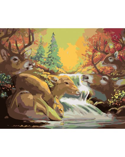 Malování podle čísel - JELEN A VODOPÁD (D. RUSTY RUST)
