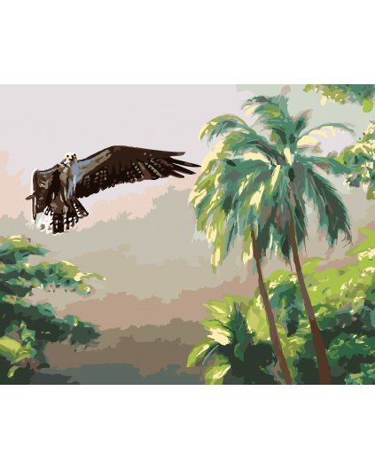 Malování podle čísel - OREL V LESU A STROMY (D. RUSTY RUST)