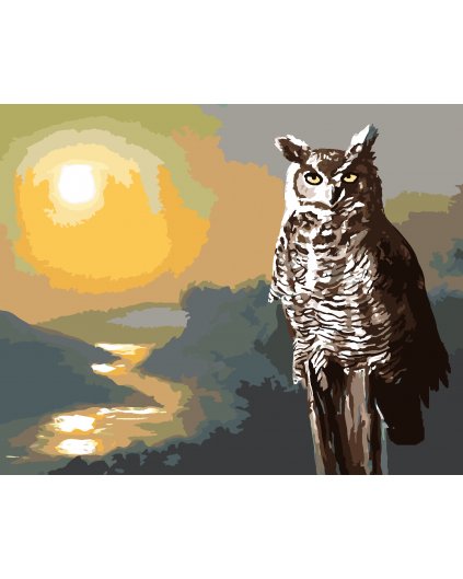 Malování podle čísel - SOVA, ŘEKA A ZÁPAD SLUNCE (D. RUSTY RUST)