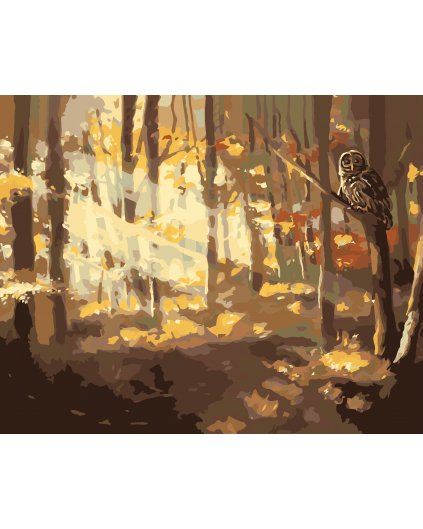 Malování podle čísel - SOVA A LES NA PODZIM (D. RUSTY RUST)