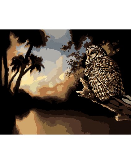 Malování podle čísel - SOVA V NOCI (D. RUSTY RUST)
