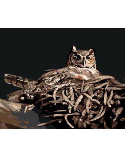 Malování podle čísel - SOVA V HNÍZDĚ V NOCI (D. RUSTY RUST)