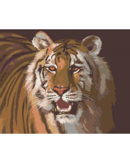 Malování podle čísel - TYGR PORTRÉT (D. RUSTY RUST)