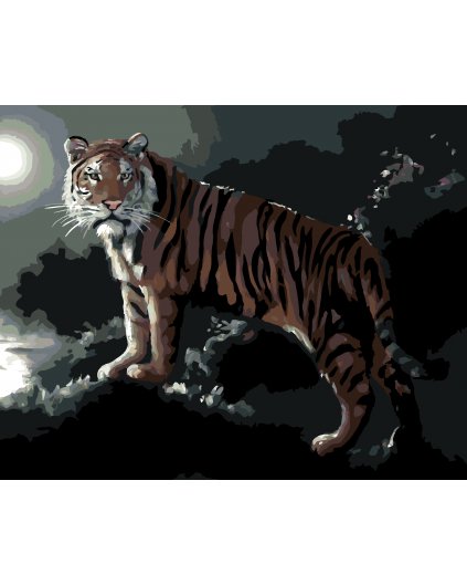 Malování podle čísel - TYGR A ÚPLNĚK (D. RUSTY RUST)